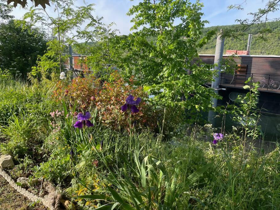 Maison Fleurs De Lys, Climatisee, Wifi Et Parking Privee Gratuit, Lave-Linge, Vernon Giverny Luaran gambar